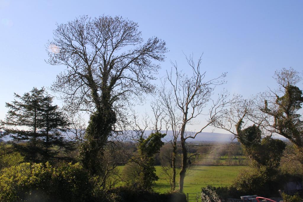 Woodview House Bed And Breakfast Ballinrobe Exterior foto