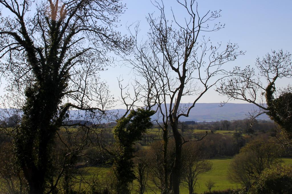 Woodview House Bed And Breakfast Ballinrobe Quarto foto